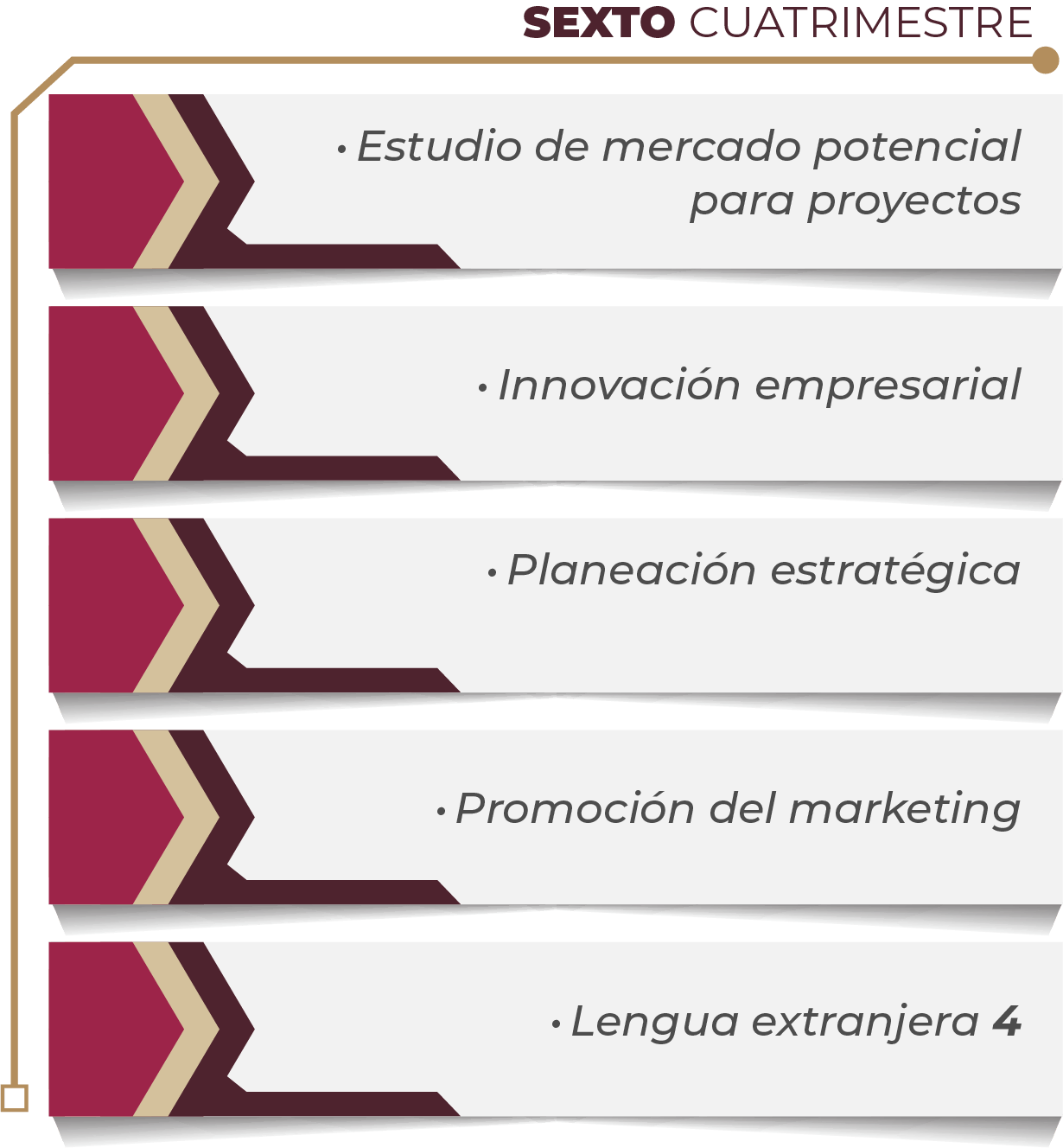 MAPA CURRICULAR GESTIÓN